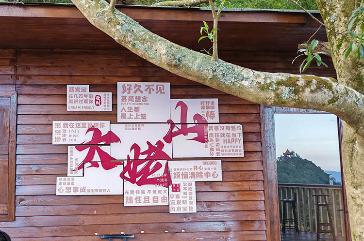 2024年11月10日金秋十月景色最迷人，金秋不冷不燥，宇光/浙光全員又旅游了！